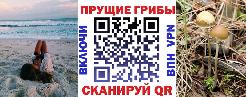 кракен ONION  Александровск-Сахалинский  Псилоцибиновые грибы MAGIC MUSHROOMS 